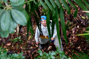 The UA's Brian Enquist is an expert on plant diversity and does much of his research in tropical ecosystems. (Photo: Benjamin Blonder) The UA's Brian Enquist is an expert on plant diversity and does much of his research in tropical ecosystems. (Photo: Benjamin Blonder)